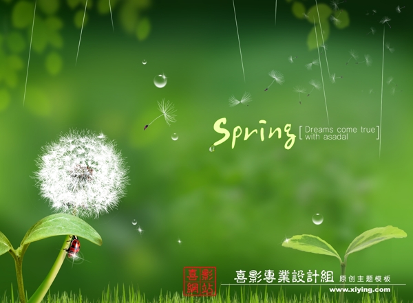 午后陽光