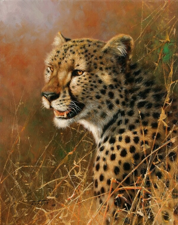 动物油画非洲豹图片