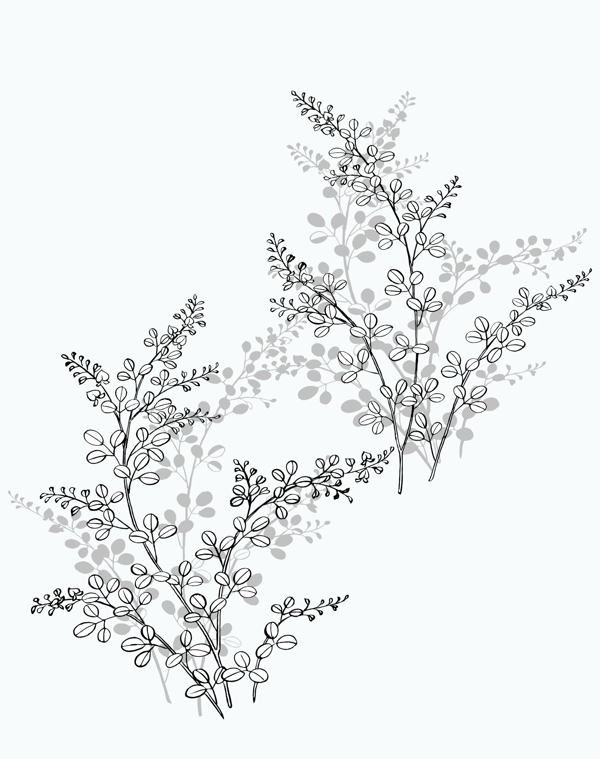 花枝彩玻璃移門大全編號(hào)SS086