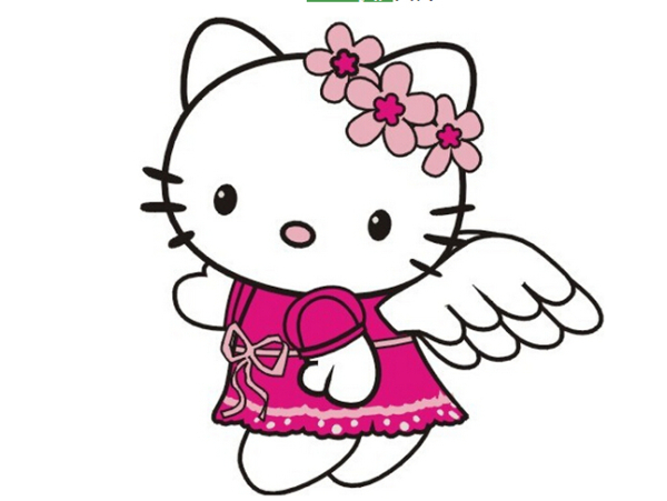 kitty貓