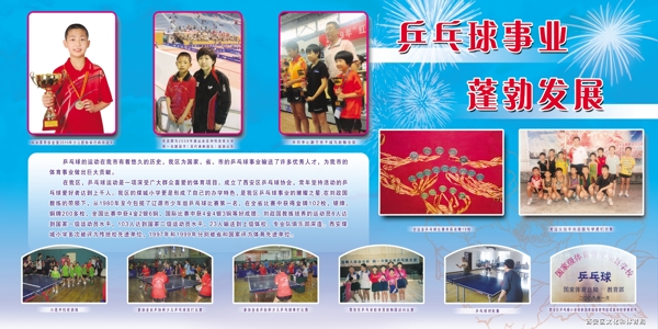 乒乓球获奖证书宣传图片