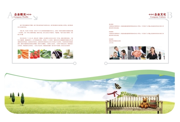 畫冊內(nèi)頁設計圖片