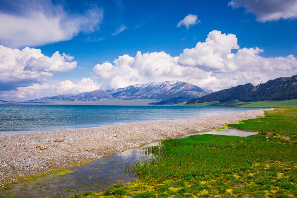 新疆賽里木湖風景