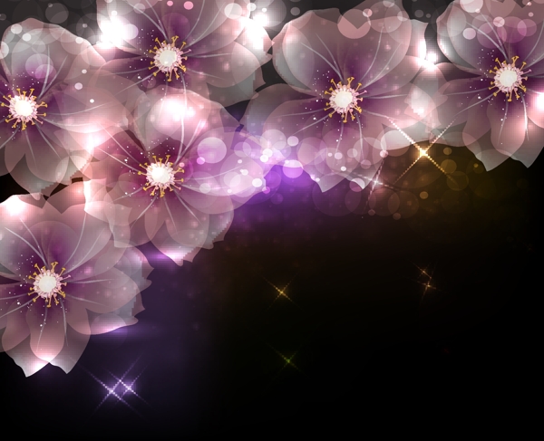 發(fā)光花背景矢量圖下載