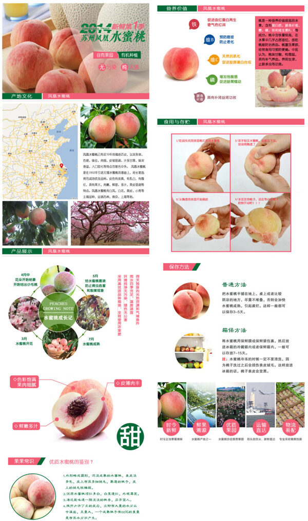 水蜜桃詳情