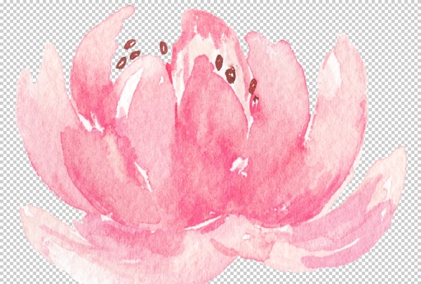 小清新水彩绘画花朵图片