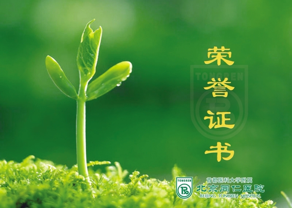 榮譽證書圖片