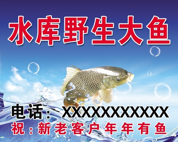 野生鱼广告