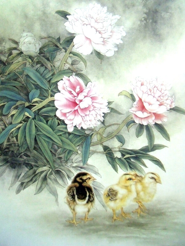 小鸡与花卉图片