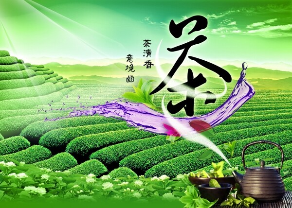 茶海報(bào)