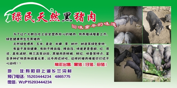 黑豬宣傳單