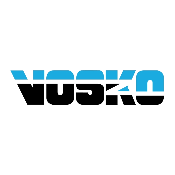 Vosko的網(wǎng)絡(luò)公司