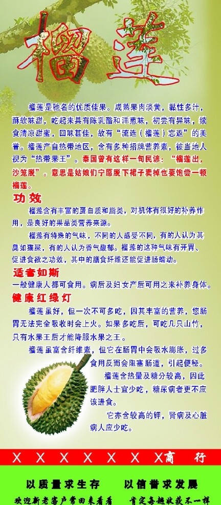 水果健康知識(shí)榴蓮圖片