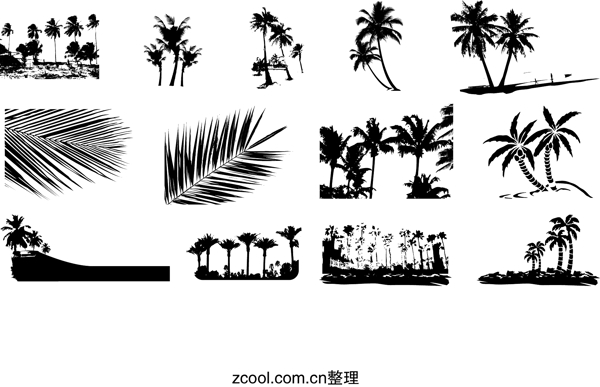棕櫚樹(shù)的剪影元素矢量素材