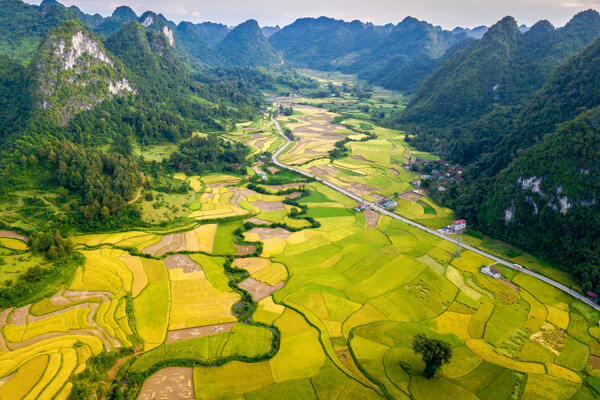 越南高平风景摄影山田地道路
