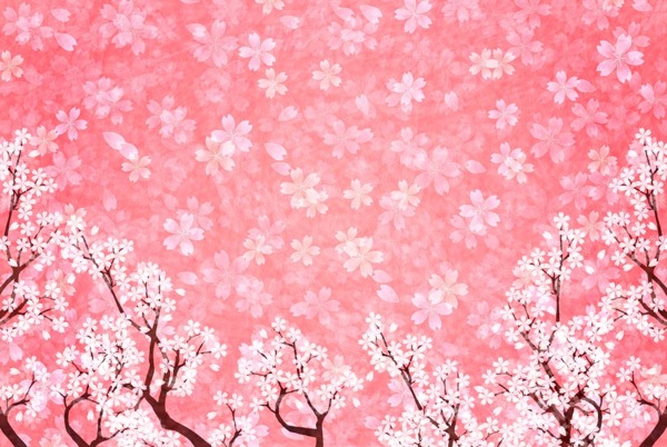 美丽的樱花背景