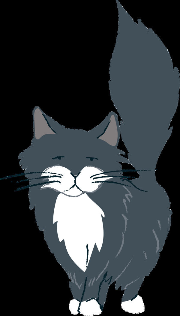 深灰色眯眼的猫透明猫咪素材