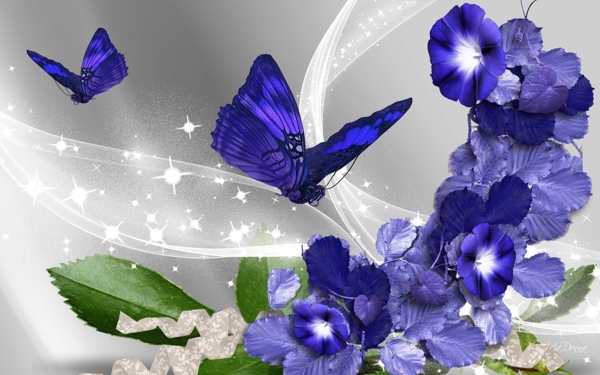 紫色蝴蝶与花图片