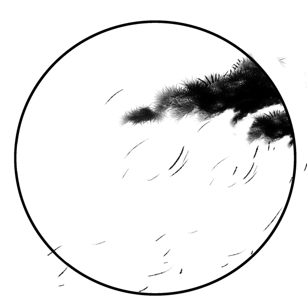 樹(shù)葉邊框卡通插畫(huà)