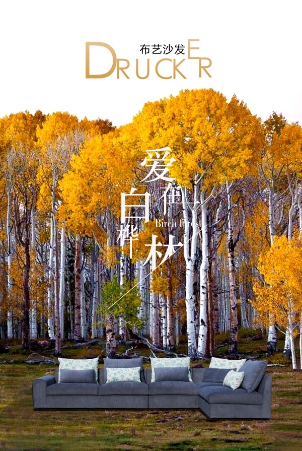 愛在白樺林