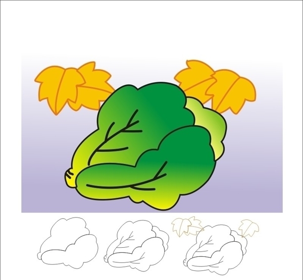 白菜簡(jiǎn)筆畫圖片