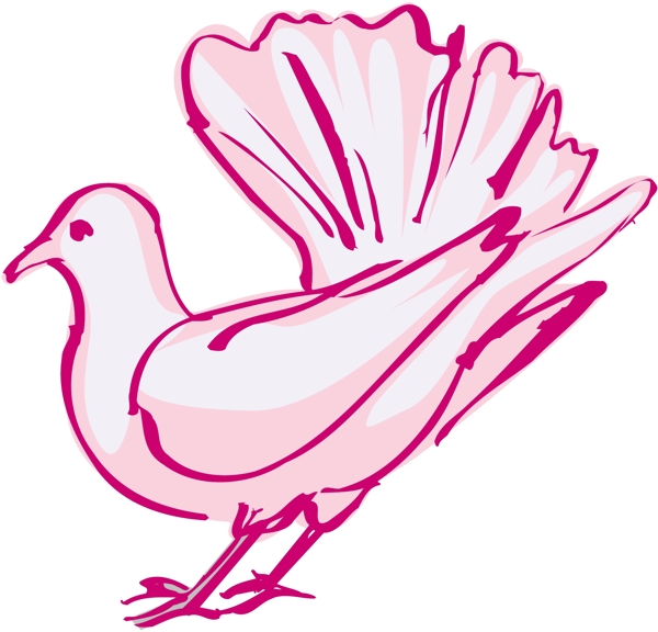 各種鳥類鳥動物矢量素材EPS格式0613
