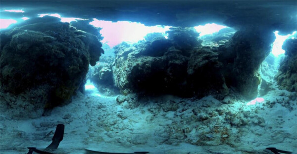 梦幻海底珊瑚VR视频