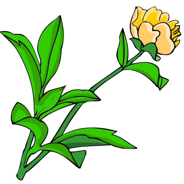 花卉古典插畫
