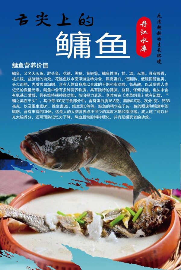 鳙魚美食海報