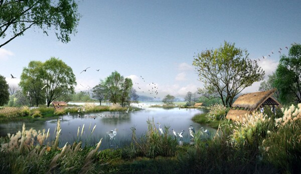 生态湿地效果图森林公园效果图