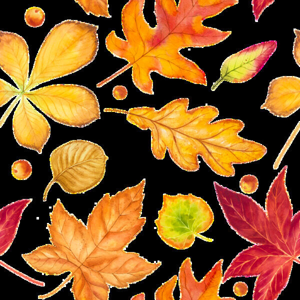 手绘秋季树叶落叶矢量素材