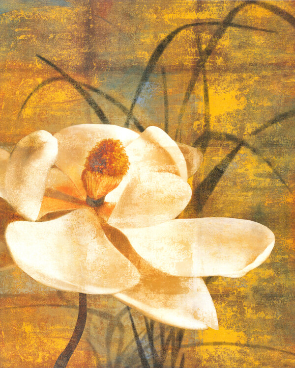 綻放的花朵油畫(huà)