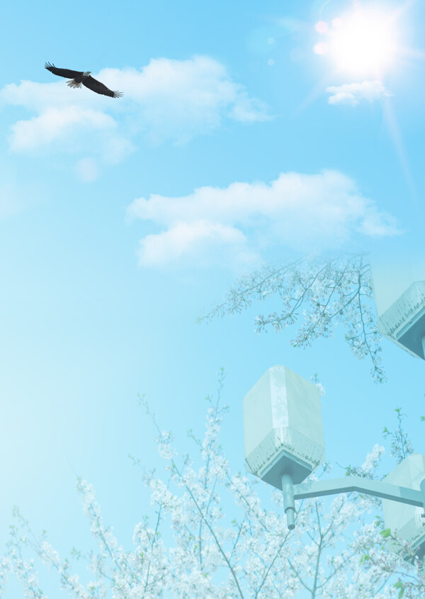蓝天白云樱花背景