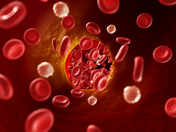 血球细胞图片