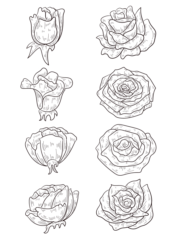 手绘素描玫瑰元素