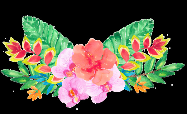 自由花叢卡通透明素材