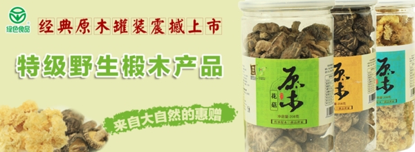 菌菇上市圖片