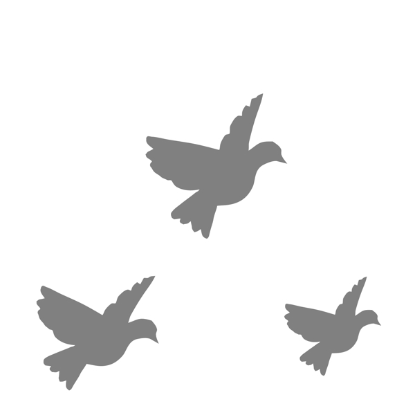 灰色的鸽子免抠图动植物元素图片
