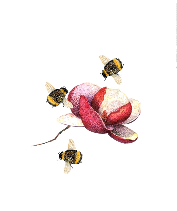 蜜蜂矢量图下载蜂蜜素材下载