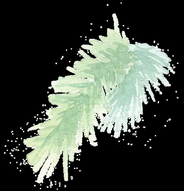 手繪兩枝樹枝水彩透明素材