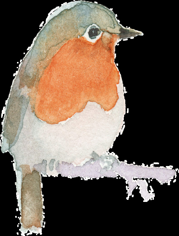 手绘坐在树干上的小鸟水彩透明素材