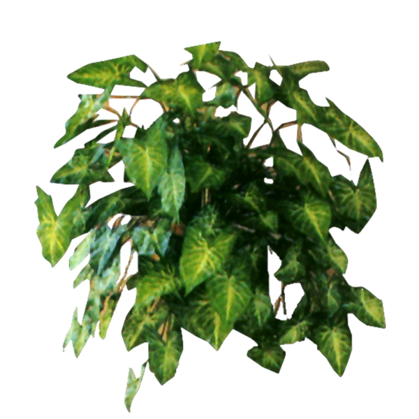 AB全植物素材