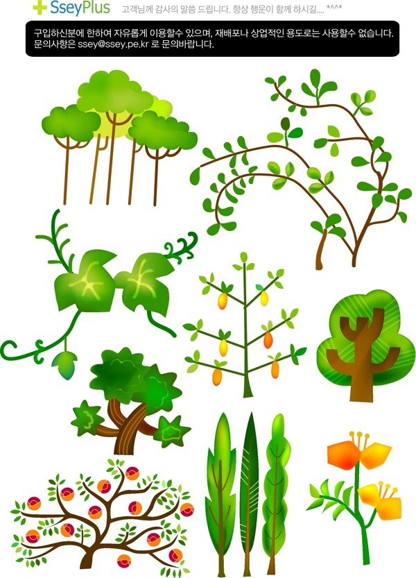 綠色小植物
