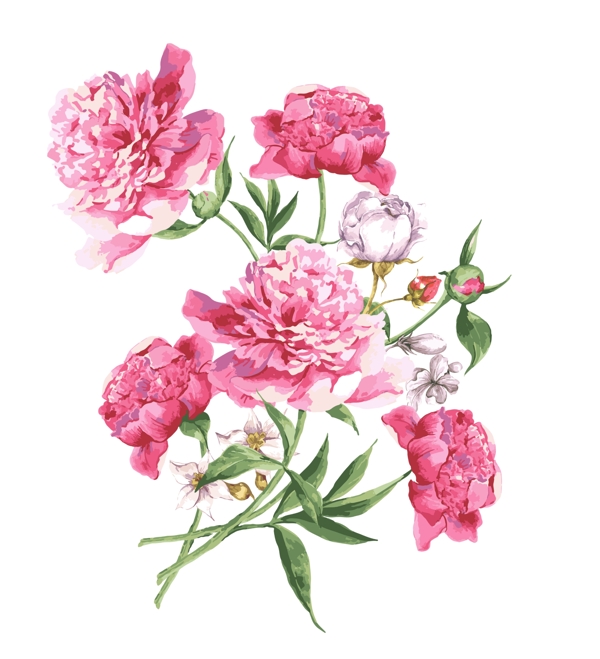 花卉