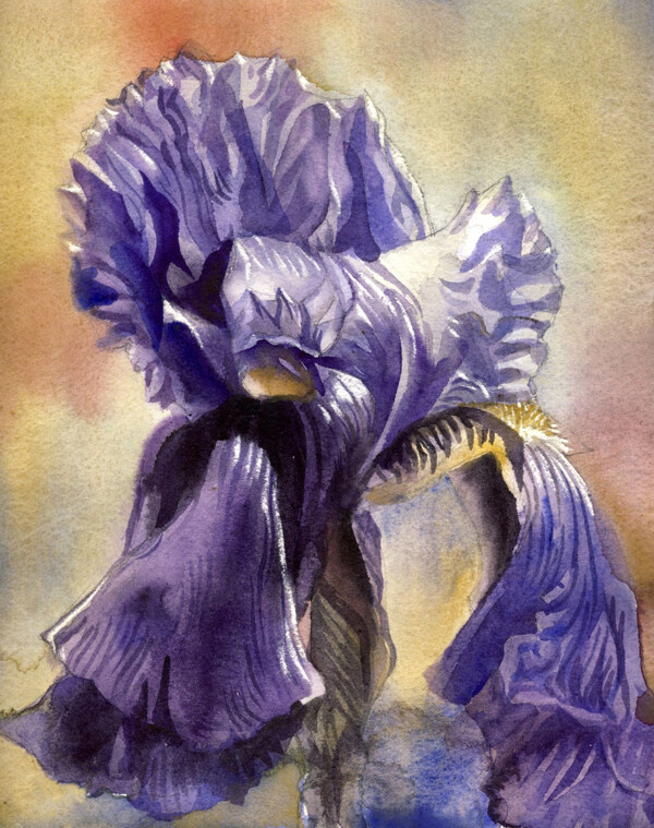 位圖植物寫意花卉花朵免費素材