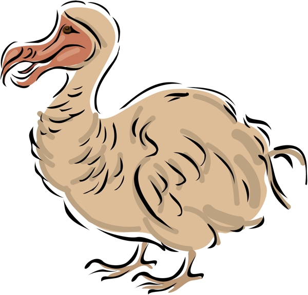 各種鳥類鳥動物矢量素材EPS格式0604