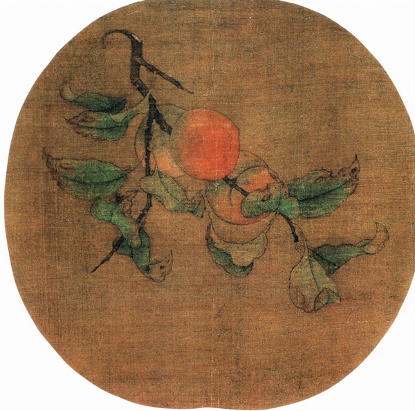 杉趙昌圖片