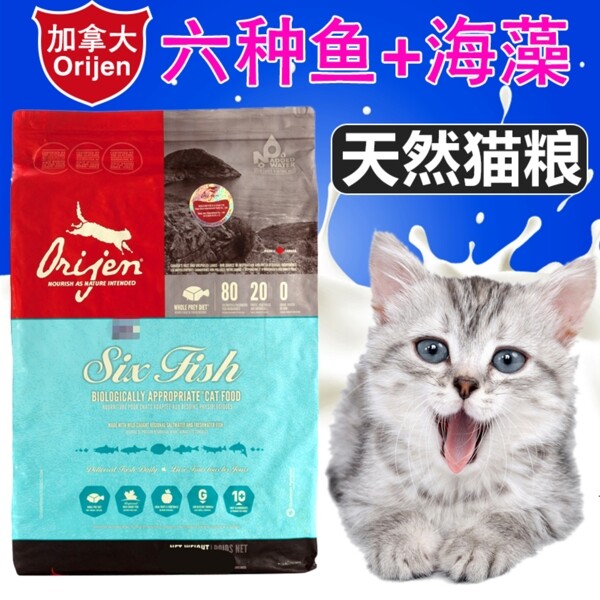 貓糧主圖