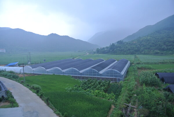 蔬菜大棚圖片
