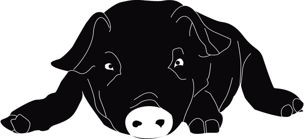 2019年豬年動(dòng)物簡(jiǎn)筆畫手繪簡(jiǎn)約可商用元素